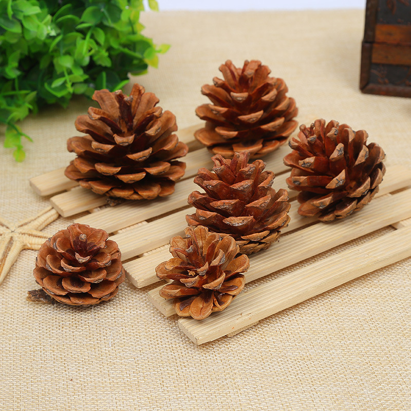 Hand-selected pine photo props kindergarten hand-made materials Christmas pine cone hanging ornaments Northern pine cone 1KG price Specification drawing