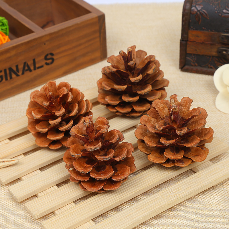 Hand-selected pine photo props kindergarten hand-made materials Christmas pine cone hanging ornaments Northern pine cone 1KG price details Picture