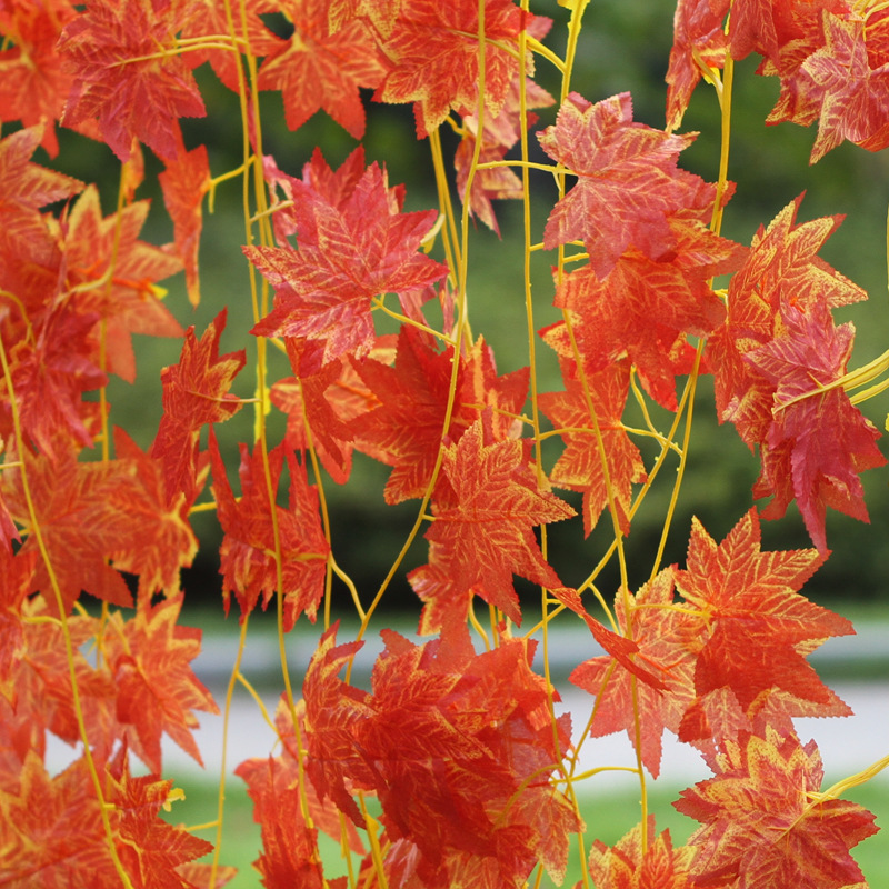 Simulation Red Maple Green Maple Extra Large Red Grape Leaf Fence Fence Leaf Rattan Flower Rattan Wall Hanging Decorative Rattan