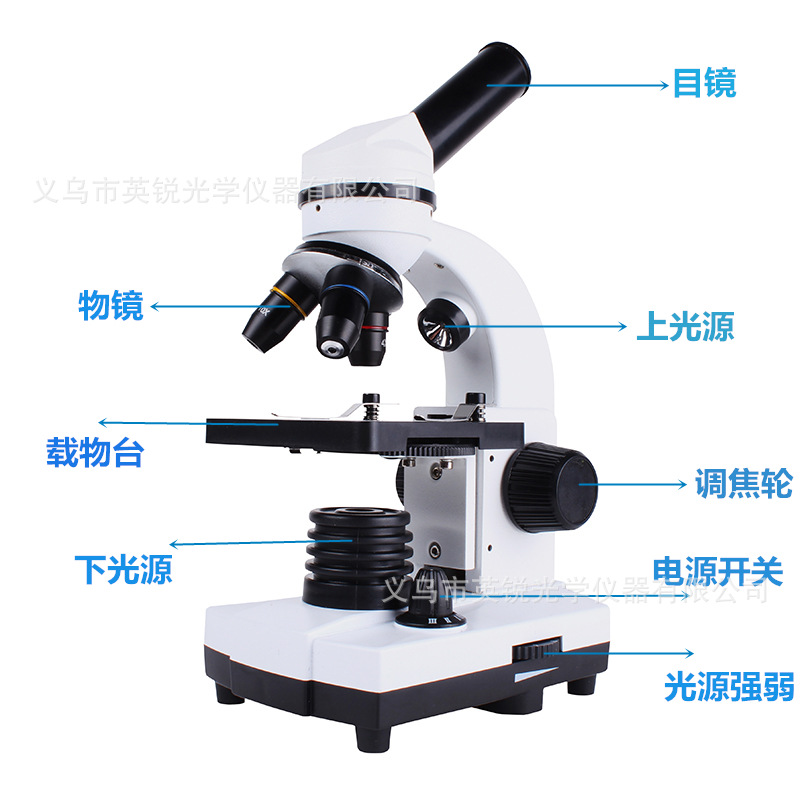 最高640倍/学生用显微镜/插电显微镜细节图