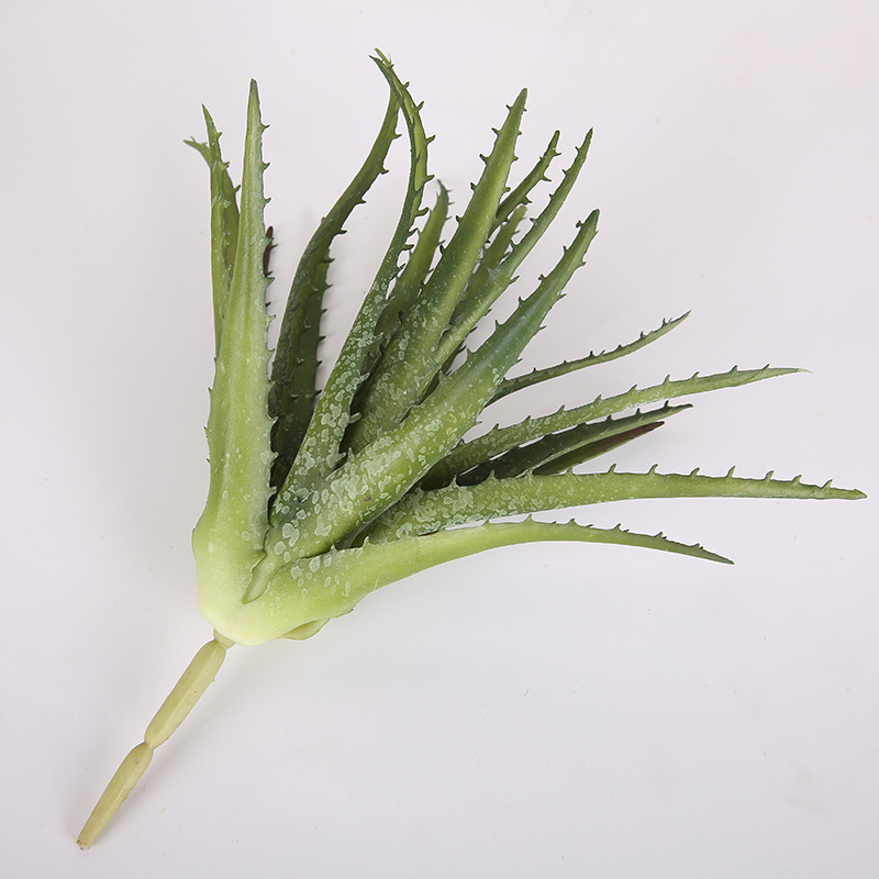 Factory Direct Sales Simulation Succulent Sawtooth Aloe Vera Housepot Plant Diy Green Plant Wall Decoration Flower Wholesale Application Scenario