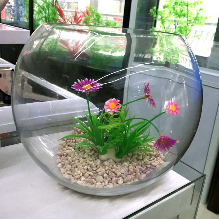 Baojie Aquarium offers wholesale of large, medium and small-sized round transparent glass fish tanks for fish and grass care decorations Application Scenario