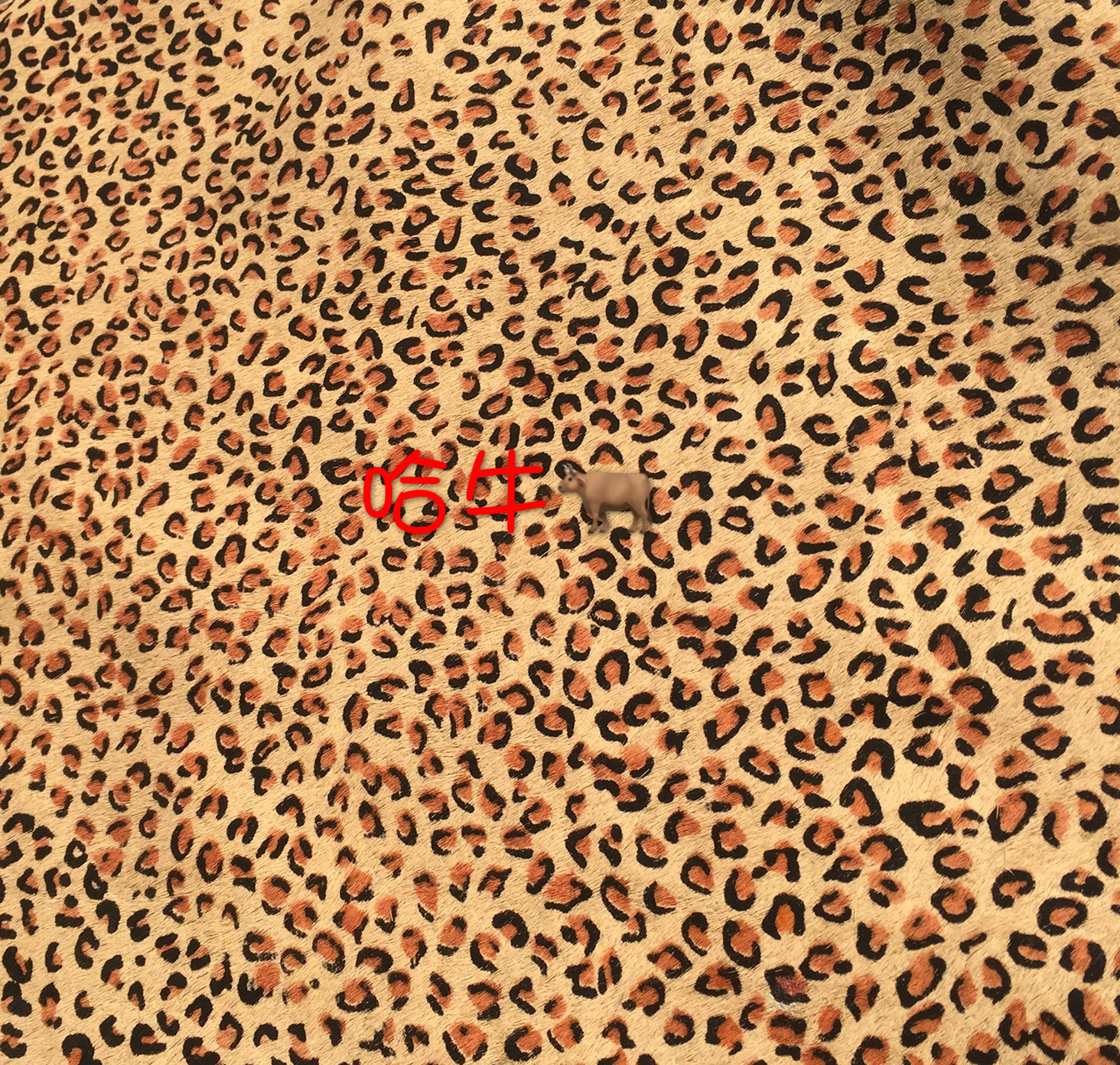 Yiwu horsehair, cowhide, beige small leopard print horsehair, colorful small leopard horsehair, classic version horsehair details Picture