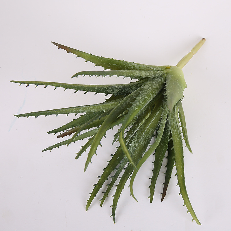 Factory Direct Sales Simulation Succulent Sawtooth Aloe Vera Housepot Plant Diy Green Plant Wall Decoration Flower Wholesale details Picture