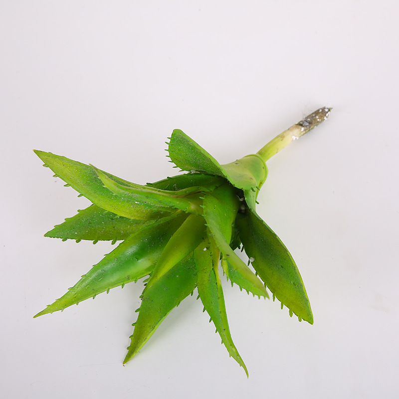 Simulation Succulent Plant Large Succulent Aloe Sharp Horn Aloe Indoor Pot Plant Factory Direct Wholesale details Picture