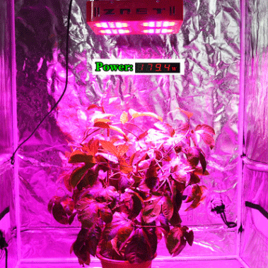 外贸LED植物生长灯 200W大功率 20株补光灯 72株*3W植物灯