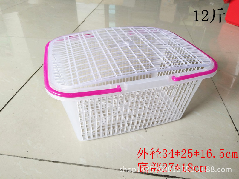 一次性塑料蓝白底实物图