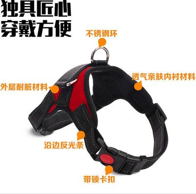 Amazon New Pet Chest Strap Explosion-Proof Flush Pet Leash Dog Chest Strap Pet Supplies Wholesale Item Picture