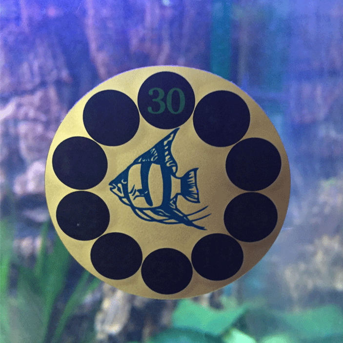 Baojie fish tank thermometer T-11 LCD thermometer Patch thermometer Aquarium thermometer round Specification drawing