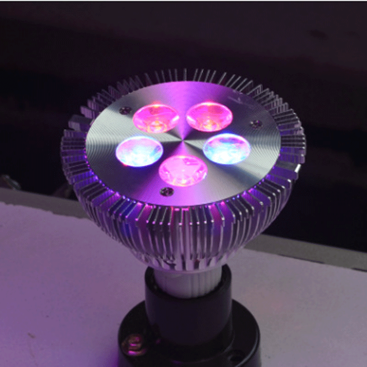 欧美畅销LED植物生长灯5w植物育苗补光灯 用于温室种植