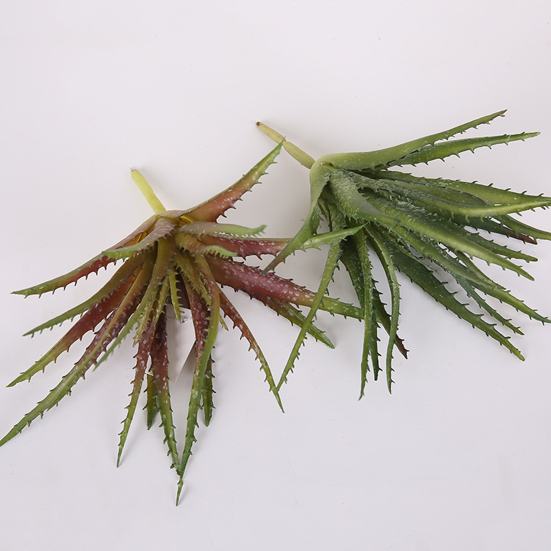 Factory Direct Sales Simulation Succulent Sawtooth Aloe Vera Housepot Plant Diy Green Plant Wall Decoration Flower Wholesale