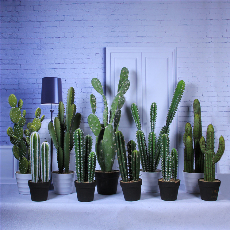 Simulation Cactus Indoor Plant Potted Fairy Column Man Fake Prickly Pear Succulent Plant Small Bonsai details Picture