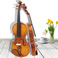 小提琴/专业小提琴/violin产品图