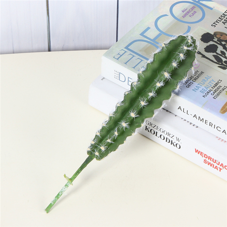 Simulation Succulent Plant Simulation Cactus Picture Frame Succulent Plant Wall Accessories Bonsai Diy Decorative Succulent Accessories Specification drawing