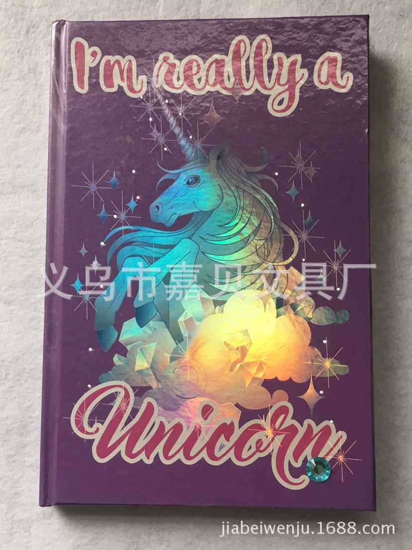 工厂供应：光/记事本/笔记本细节图