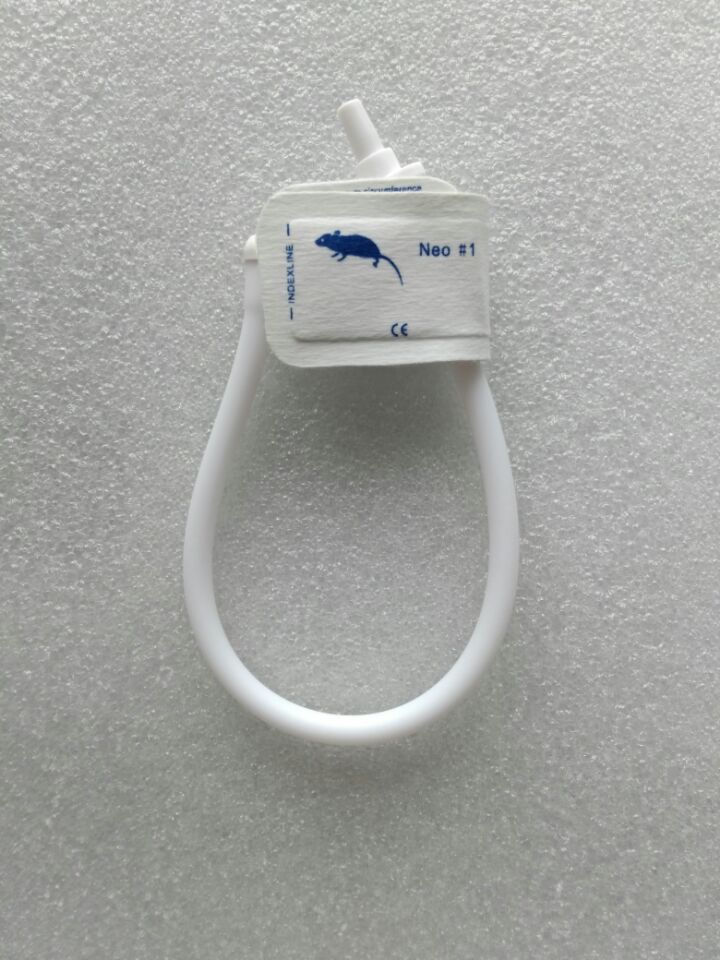 兽用兽医动物白底实物图