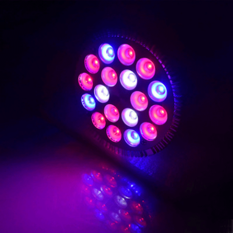 LED plant growth lamp 18*3W plant lamp, plant production supplementary light, indoor supplementary light, greenhouse growth lamp Application Scenario