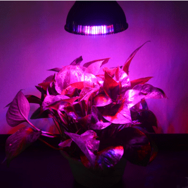 LED植物生长灯 12*3W植物补光灯 室内植物补光灯温室种植详情图3