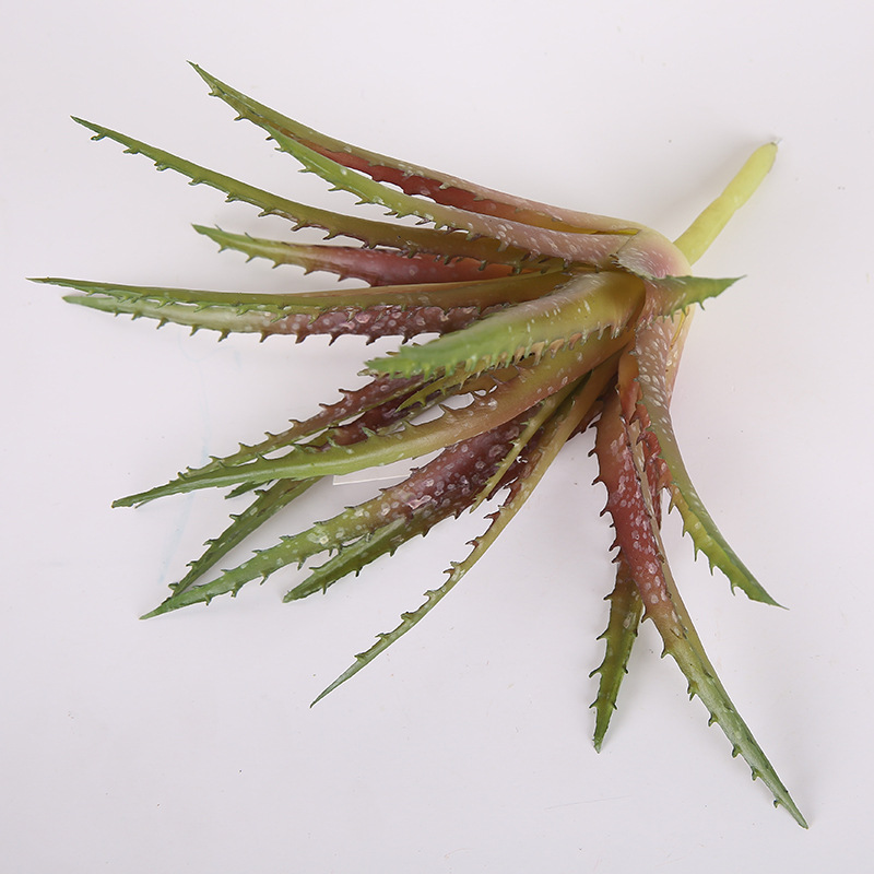 Factory Direct Sales Simulation Succulent Sawtooth Aloe Vera Housepot Plant Diy Green Plant Wall Decoration Flower Wholesale Specification drawing