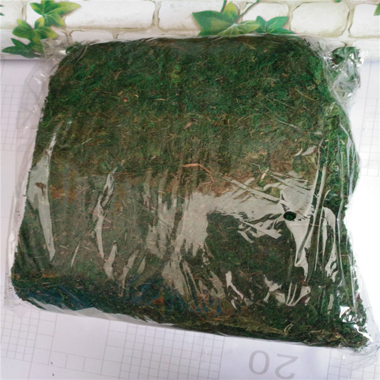 Simulation plant dried moss grass green plant flower art flowers small bonsai potted vase decoration moss with grass wholesale Specification drawing