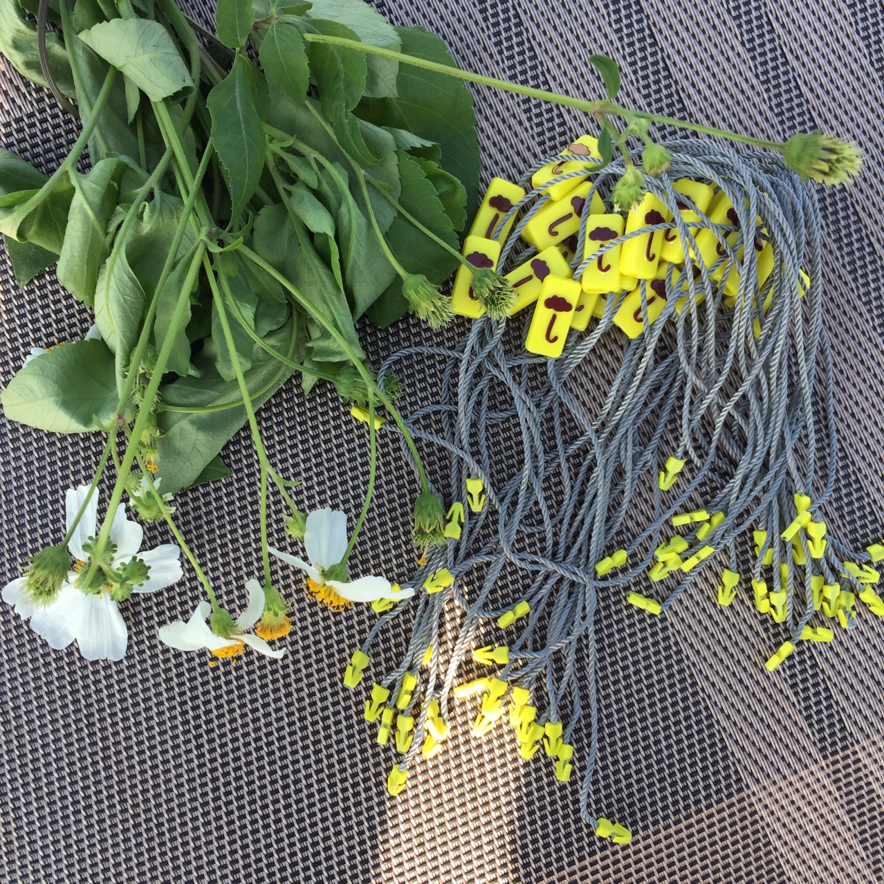 吊粒、吊牌实物图