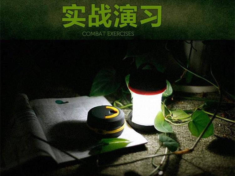 伸缩式LED细节图