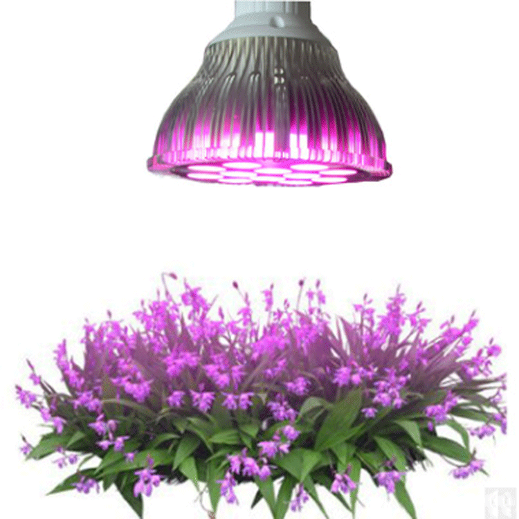 LED植物生长灯 12*3W植物补光灯 室内植物补光灯温室种植详情图4