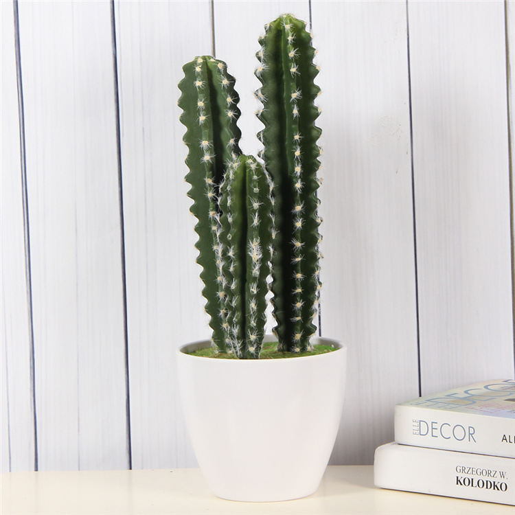 Simulation Succulent Plant Simulation Cactus Picture Frame Succulent Plant Wall Accessories Bonsai Diy Decorative Succulent Accessories