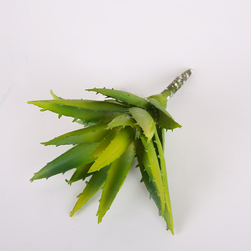 Simulation Succulent Plant Large Succulent Aloe Sharp Horn Aloe Indoor Pot Plant Factory Direct Wholesale Specification drawing