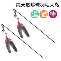 Fun cat Stick Pearl Feather Big bird Fun Cat stick Bird stick Cat cat love to play with crazy feather cat toys