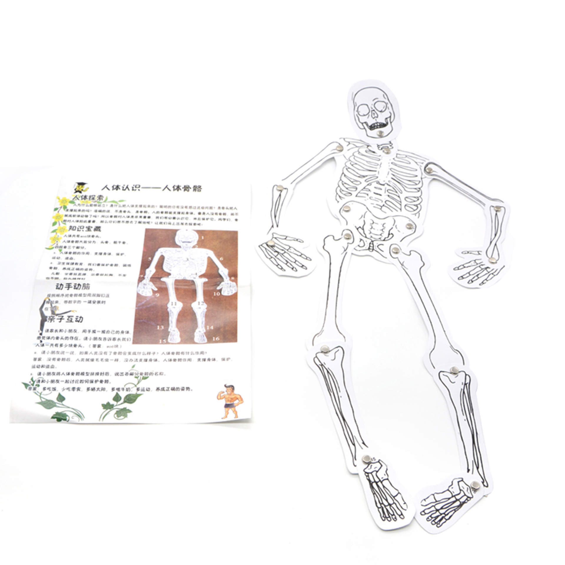 Youth Education Kindergarten Middle Class Science popularization model set diy Science and Technology Small Making Assembly toy Science popularization subject Application Scenario