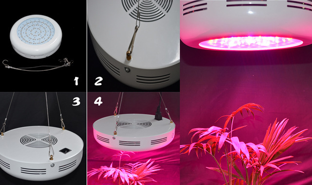 LED energy-saving plant light, UFO indoor vegetable light, CE certified plant growth light, greenhouse supplementary lighting light Application Scenario