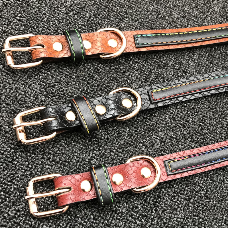 Pu Dog Collar Small And Medium Dog Labrador Collar Teddy Neck Collar Husky Alaskan Neck Collar Dog Head Collar Application Scenario