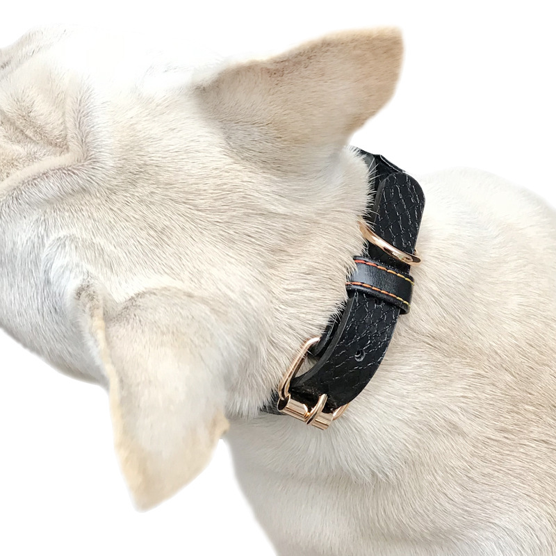 Pu Dog Collar Small And Medium Dog Labrador Collar Teddy Neck Collar Husky Alaskan Neck Collar Dog Head Collar Item Picture