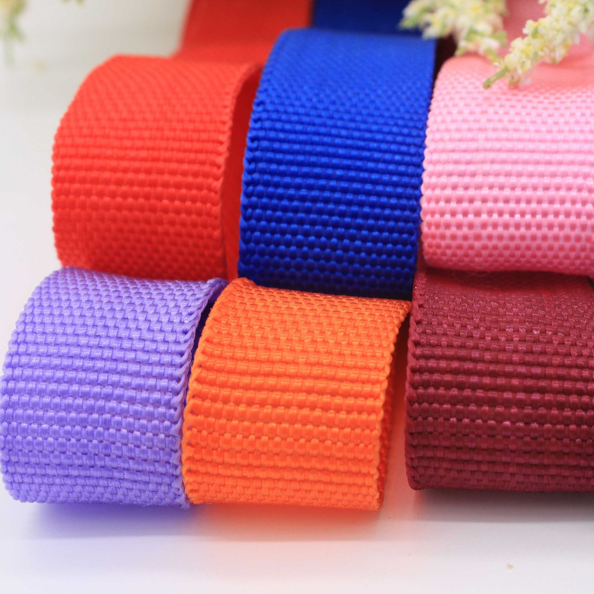 Custom Polypropylene Pp600d Bag Edge Webbed Bag Bag Bag Edge Strap Strap Factory Pet Leash Material details Picture