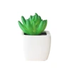 A variety of realistic succulent plant potted ceramic small flower POTS, micro-landscape sets, bonsai home decoration pieces Item Picture