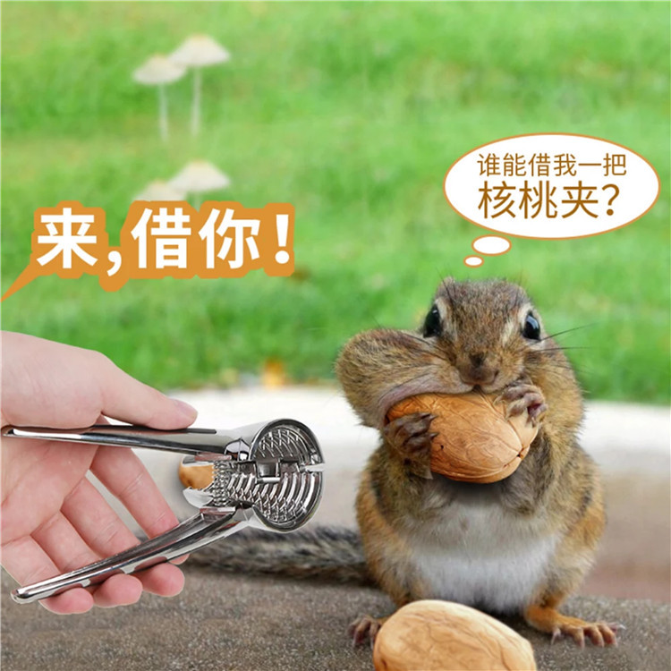 核桃夹子家用白底实物图