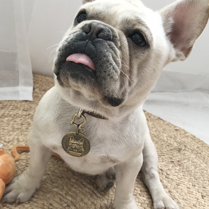 Custom Small, Medium And Large Dog Id Card Dog Metal Schnauzer Necklace Pet Anti-Loss Relief Bronze Dog Tag Specification drawing