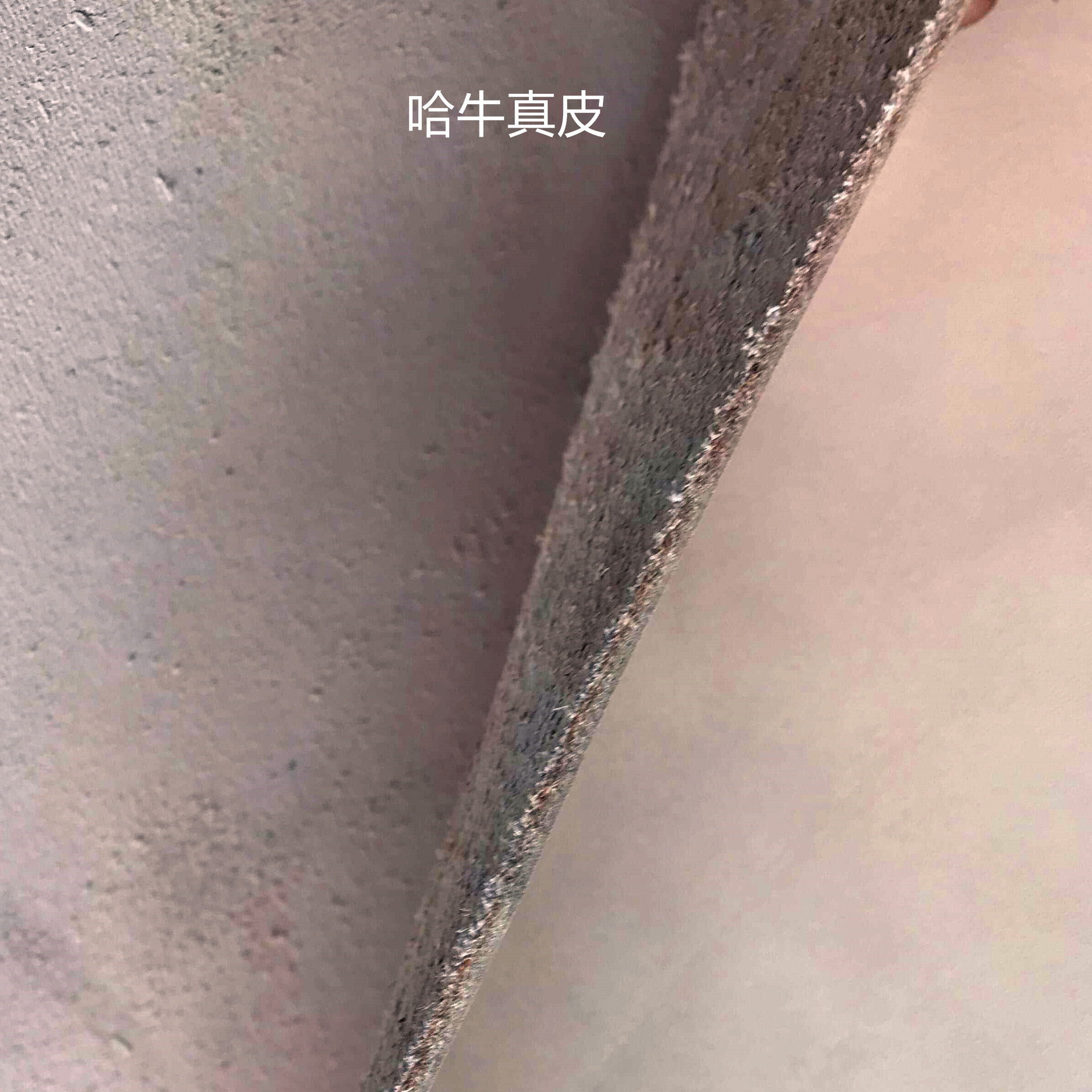 牛皮革实物图