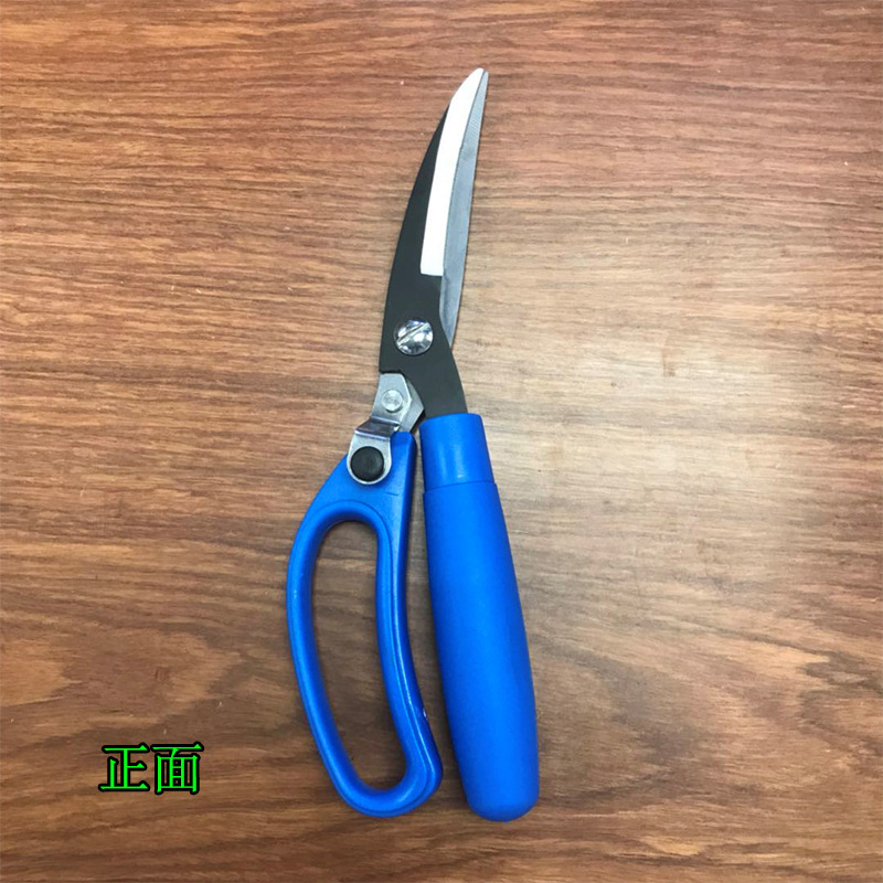 Musda's new fishing scissors MT030 fishing tools Chicken cutlet Cut [Fat Gloria] Specification image