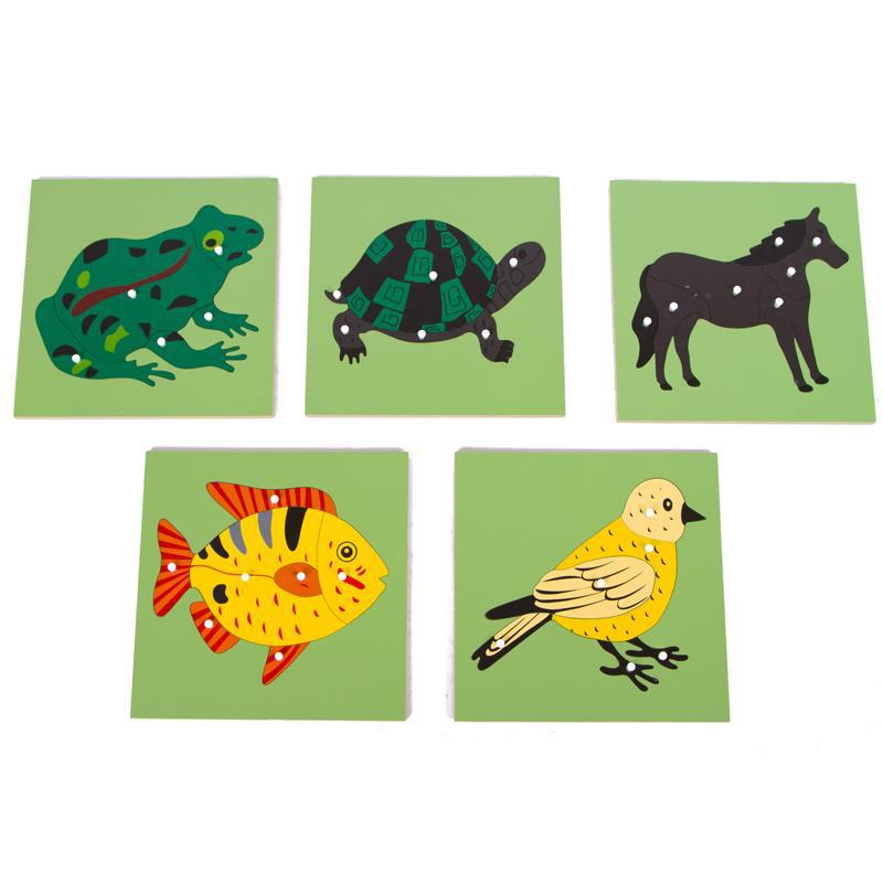 蒙特蒙台梭利产品图