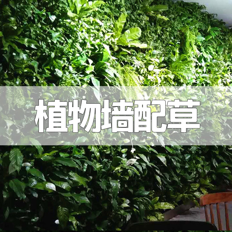 Crypto modelo milland emulación pared vegetal pared verde artificial fondo pared floral decoración sala de estar césped pared verde plantada details Picture