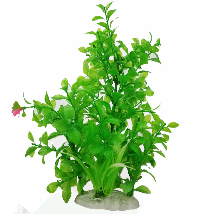 供应塑料仿真水草 仿真植物水草 多款塑料水草批发批发