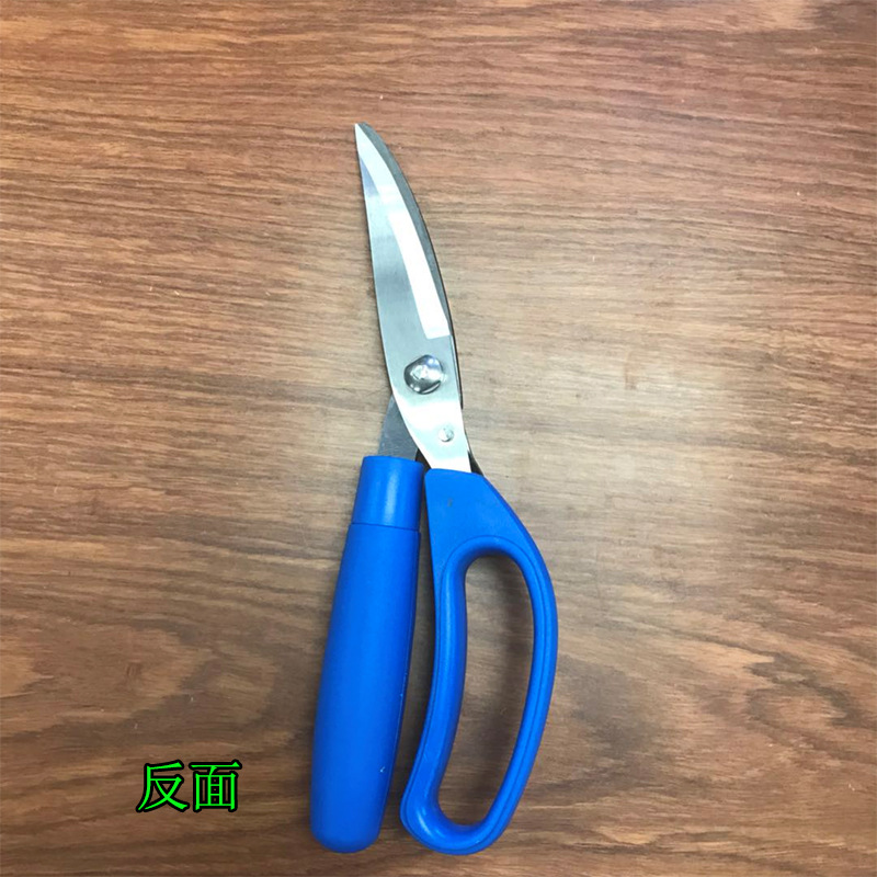 Musda's new fishing scissors MT030 fishing tools Chicken cutlet Cut [Fat Gloria] Application Scenario