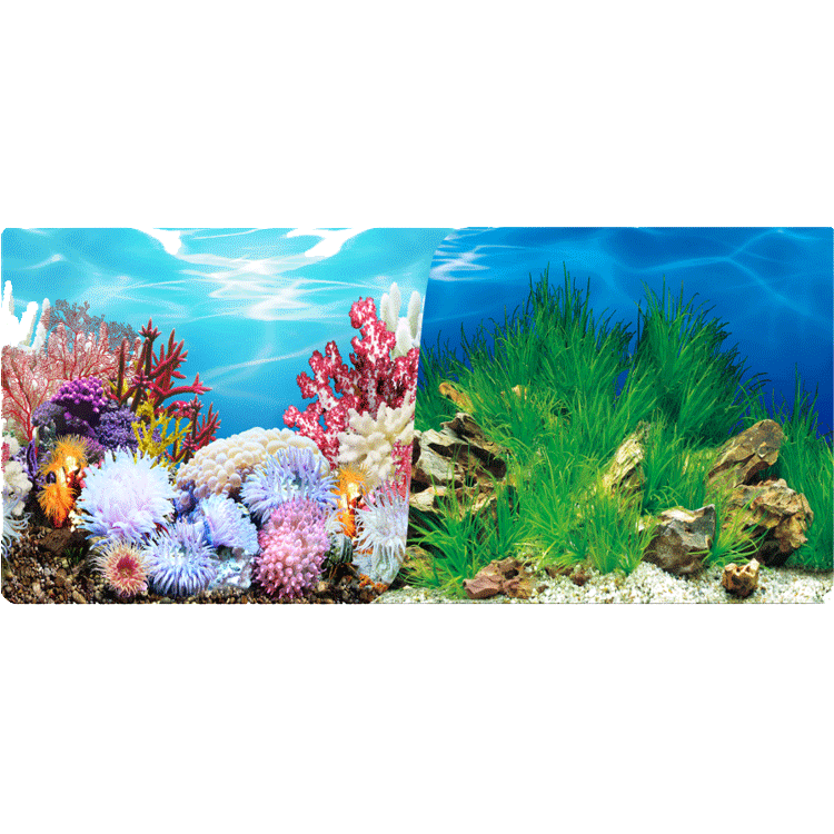 60cm double-sided thick fish tank background painting aquarium decoration background painting can be customized for multiple types of aquariums Application Scenario