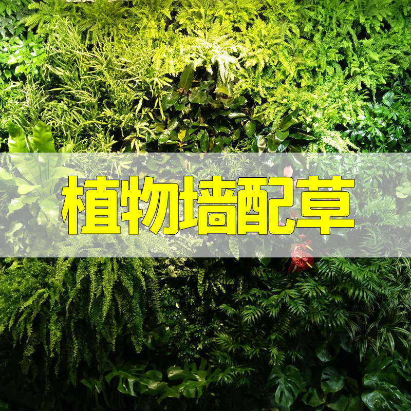 Crypto modelo milland emulación pared vegetal pared verde artificial fondo pared floral decoración sala de estar césped pared verde plantada Specification image