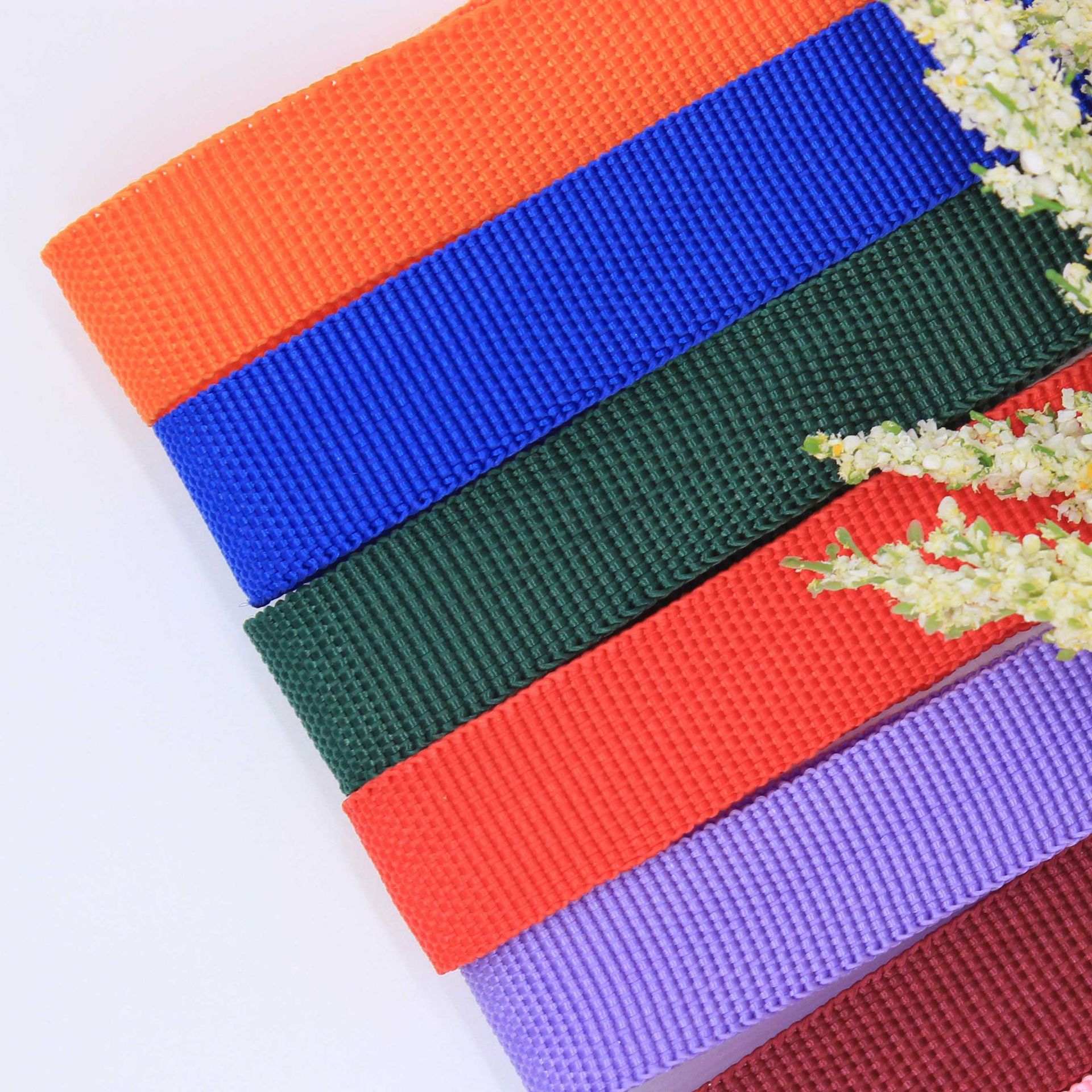 Custom Polypropylene Pp600d Bag Edge Webbed Bag Bag Bag Edge Strap Strap Factory Pet Leash Material