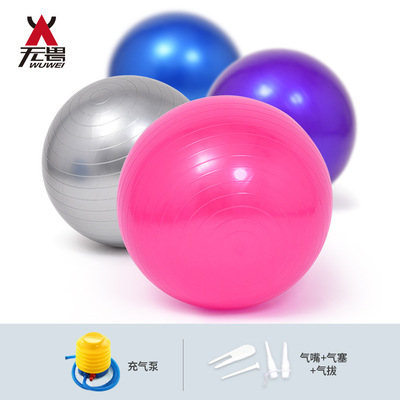 【雅臣地毯】瑜伽球 加厚防爆球 瑜伽球55 65 75健身球 配件送气拔气塞打气筒