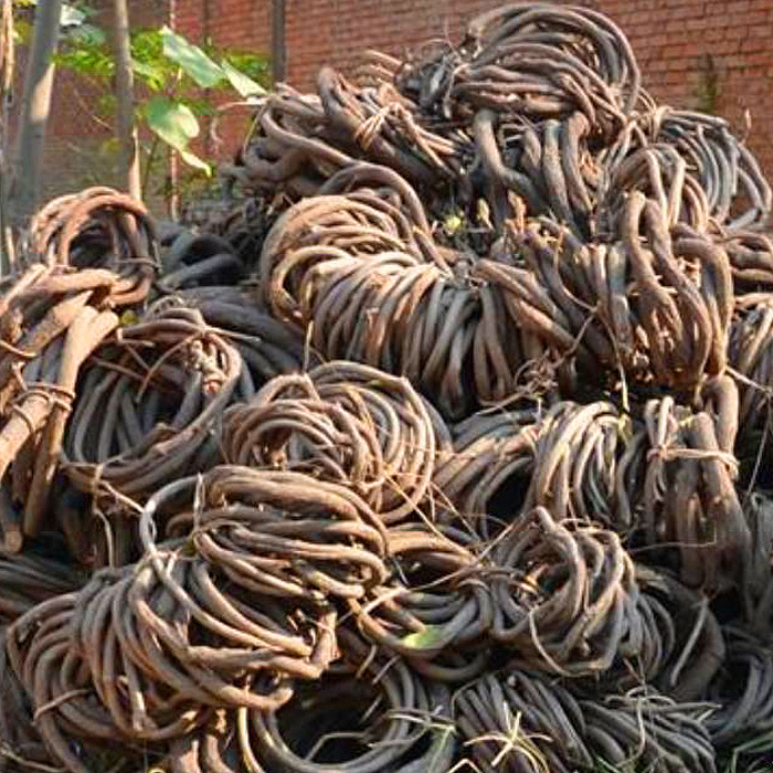 Wholesale of artificial dead vine, tree vine, wisteria-shaped wedding sets, rural landscaping, artificial flower decorations, and artificial grape leaves