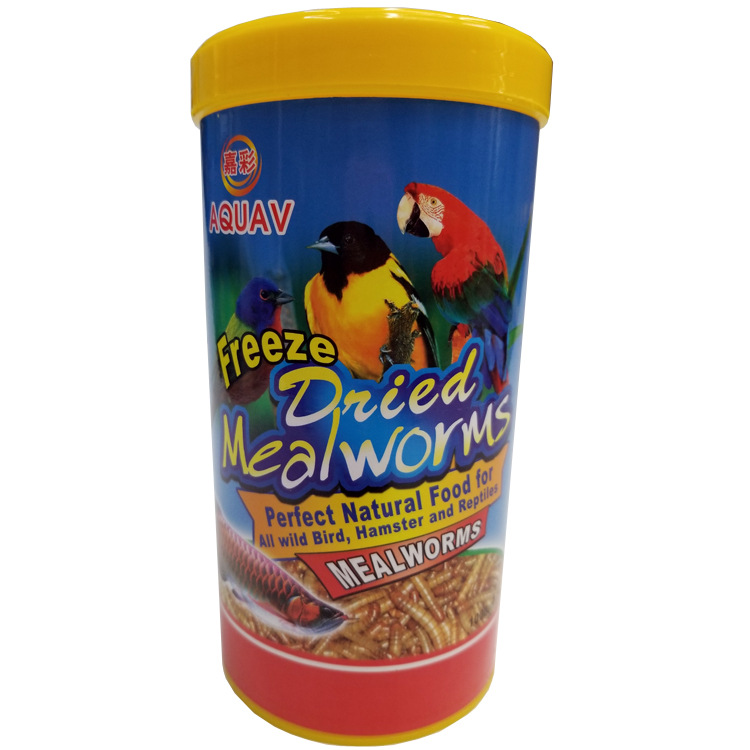 批发微波干燥面包虫MD/Mealworm/可做出口/鱼饲料龟饲料白底实物图